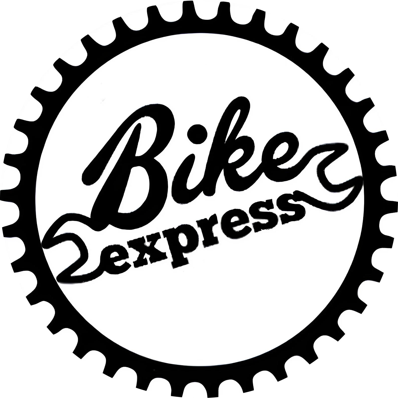 BIKE EXPRESS LLC